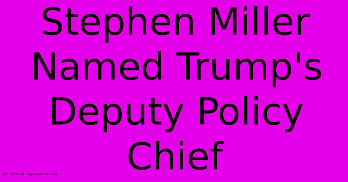 Stephen Miller Named Trump's Deputy Policy Chief