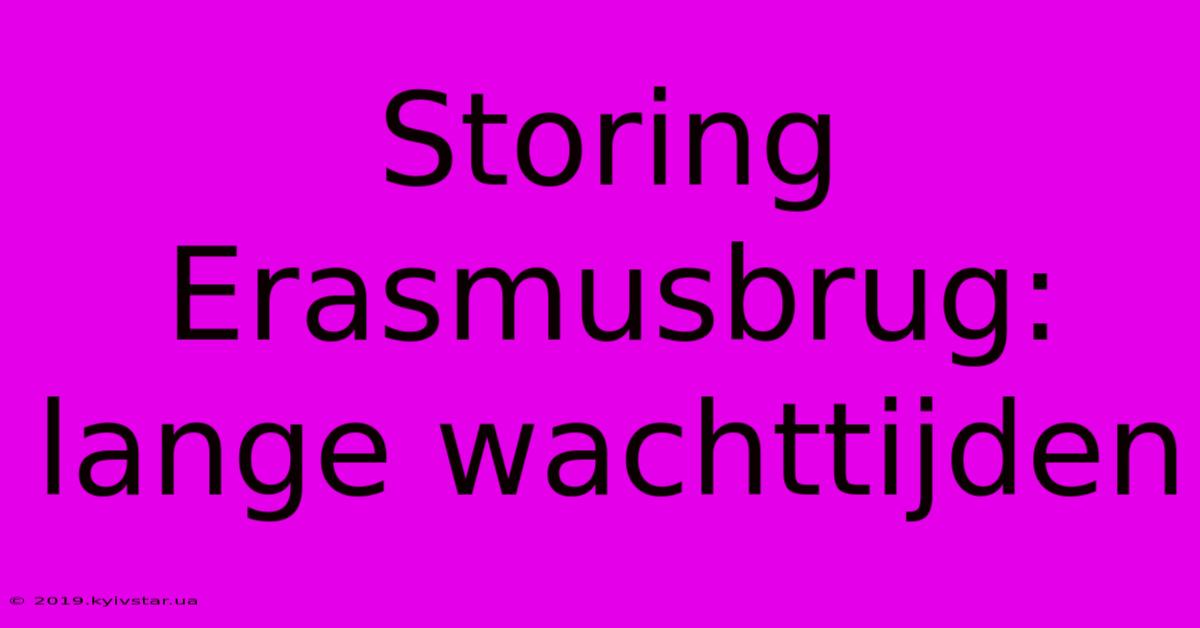 Storing Erasmusbrug: Lange Wachttijden