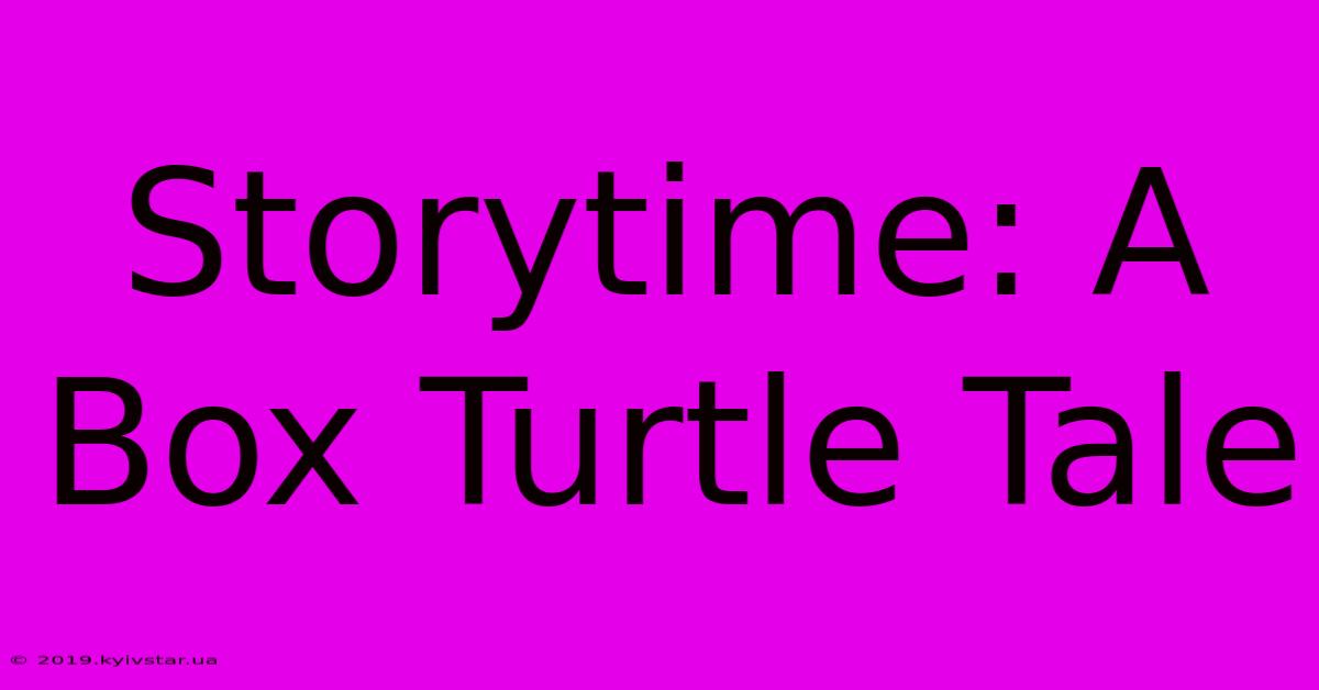 Storytime: A Box Turtle Tale