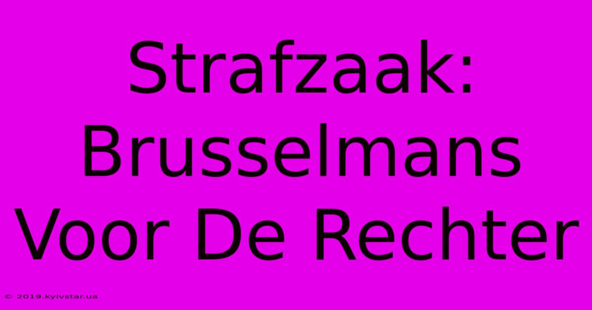 Strafzaak: Brusselmans Voor De Rechter