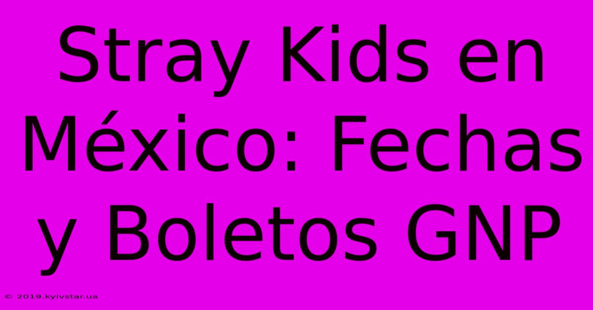 Stray Kids En México: Fechas Y Boletos GNP