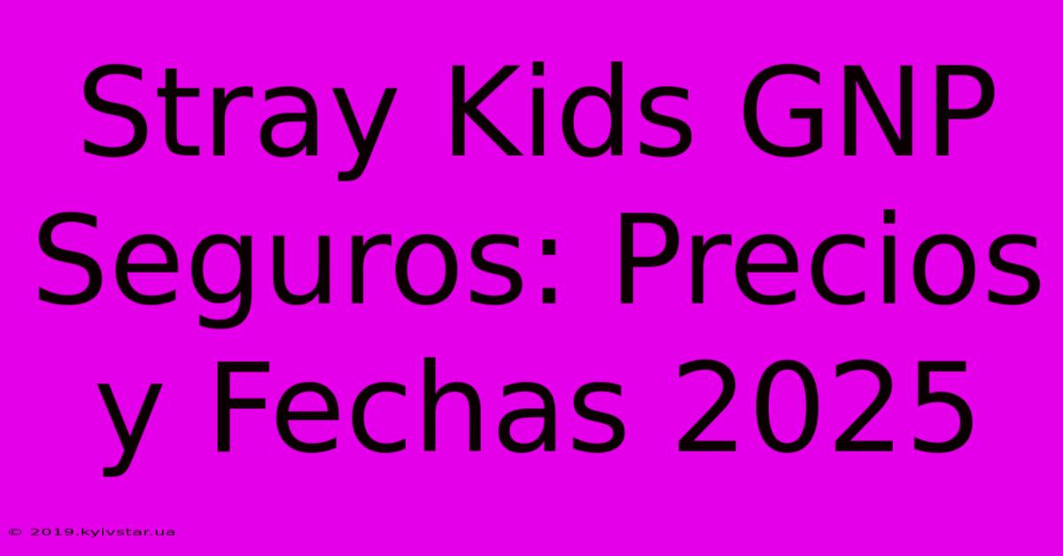 Stray Kids GNP Seguros: Precios Y Fechas 2025