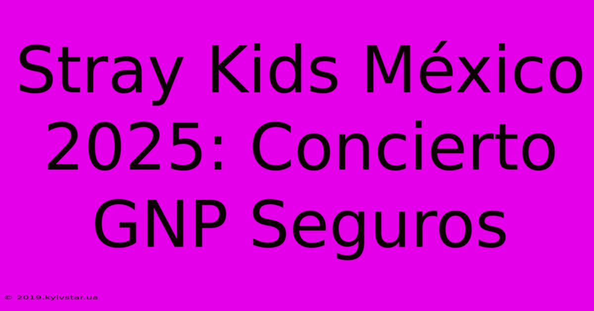 Stray Kids México 2025: Concierto GNP Seguros