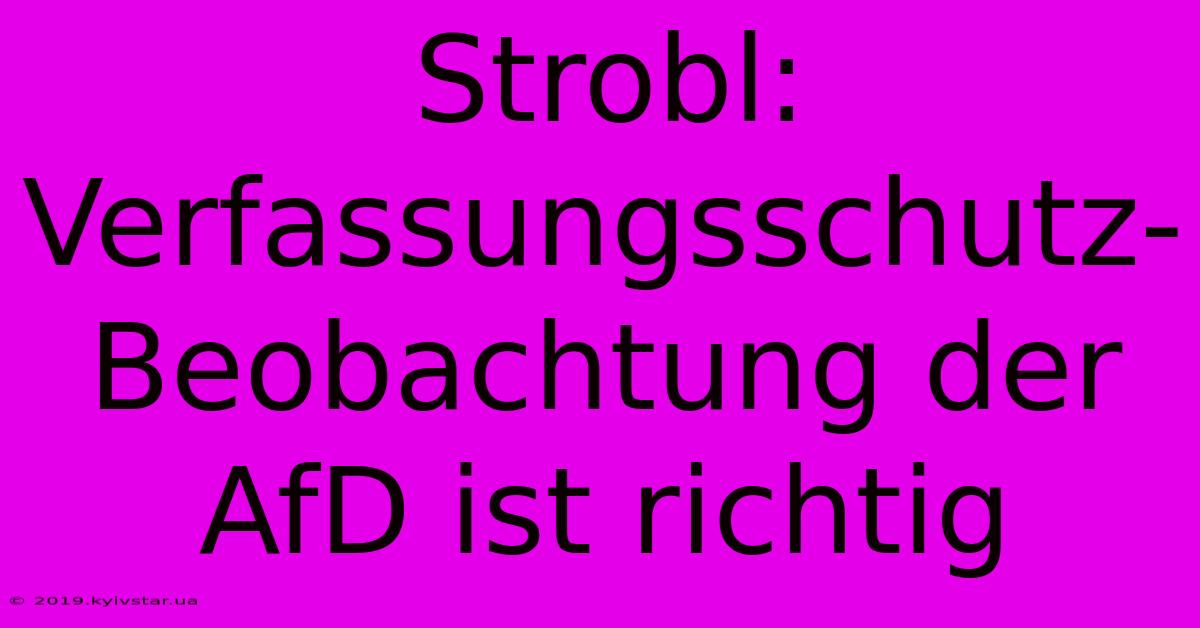 Strobl: Verfassungsschutz-Beobachtung Der AfD Ist Richtig 