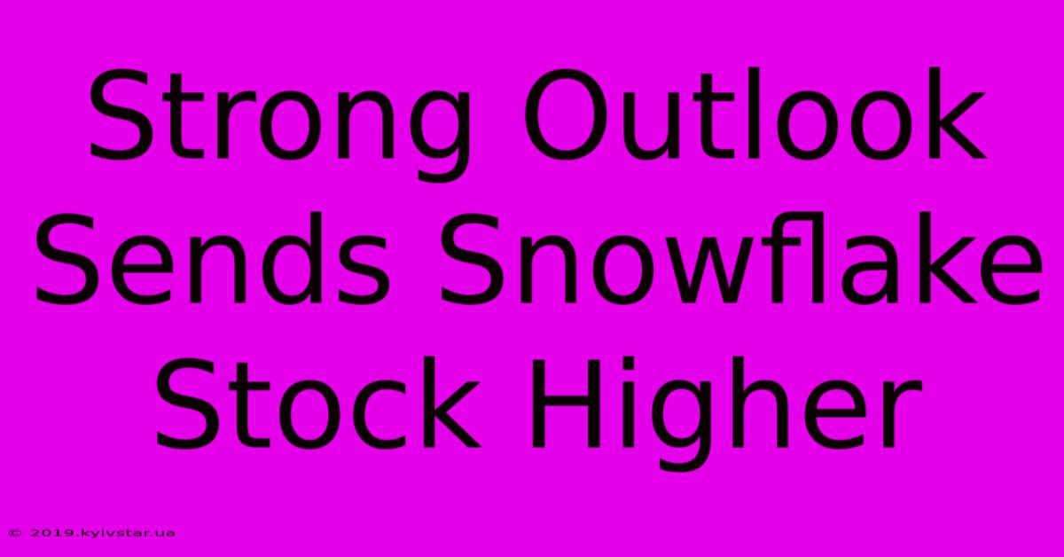 Strong Outlook Sends Snowflake Stock Higher