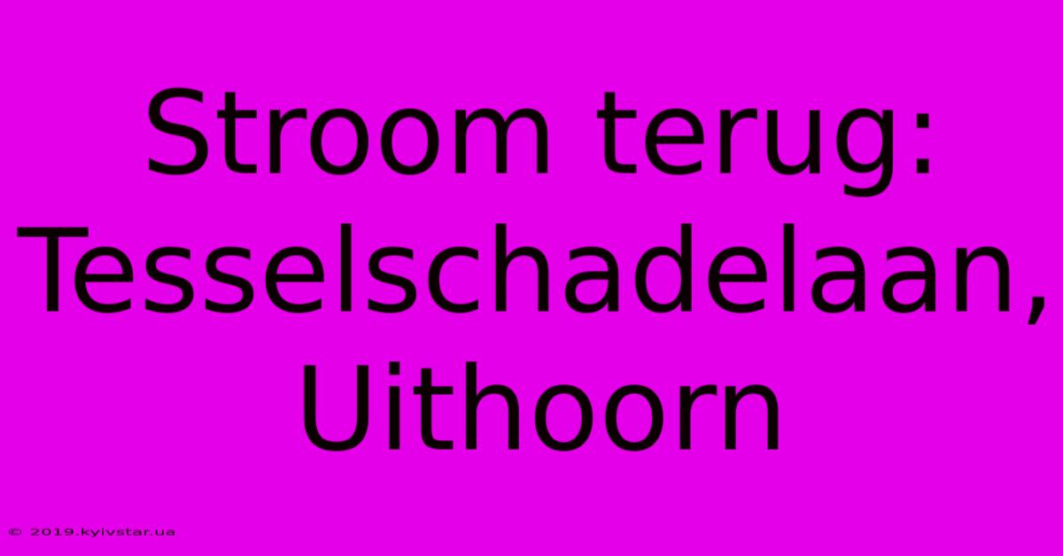 Stroom Terug: Tesselschadelaan, Uithoorn