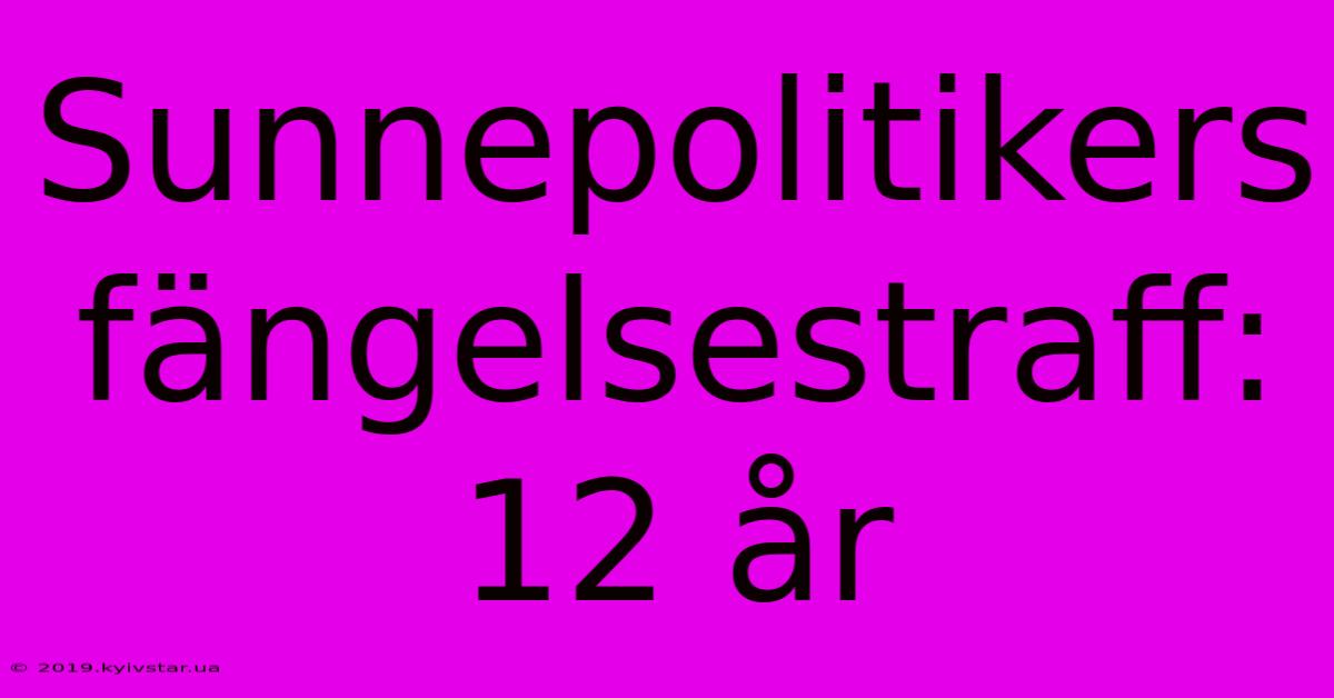 Sunnepolitikers Fängelsestraff: 12 År