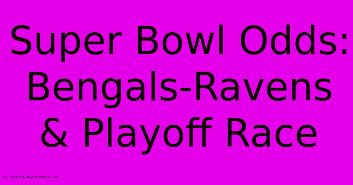 Super Bowl Odds: Bengals-Ravens & Playoff Race 