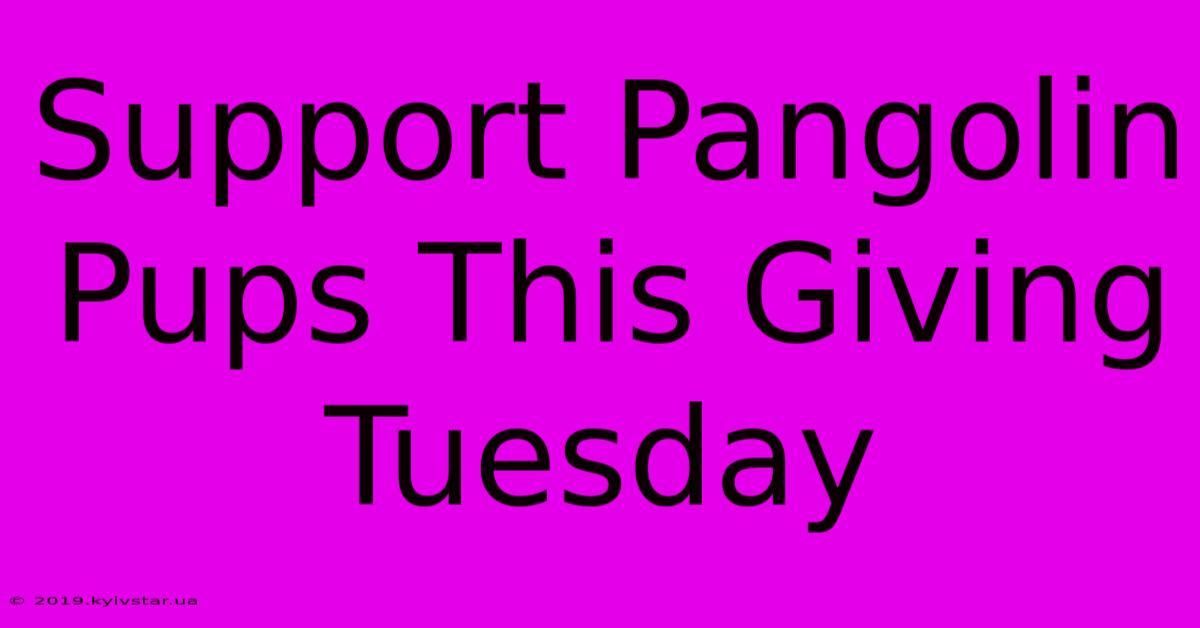 Support Pangolin Pups This Giving Tuesday