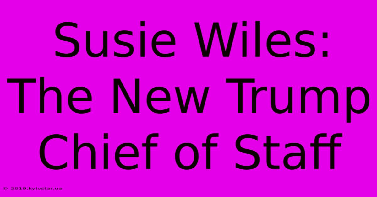 Susie Wiles: The New Trump Chief Of Staff 