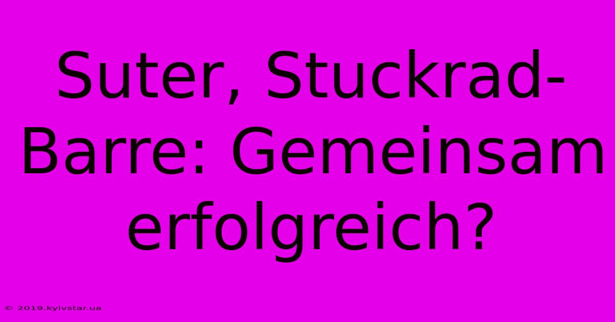 Suter, Stuckrad-Barre: Gemeinsam Erfolgreich?