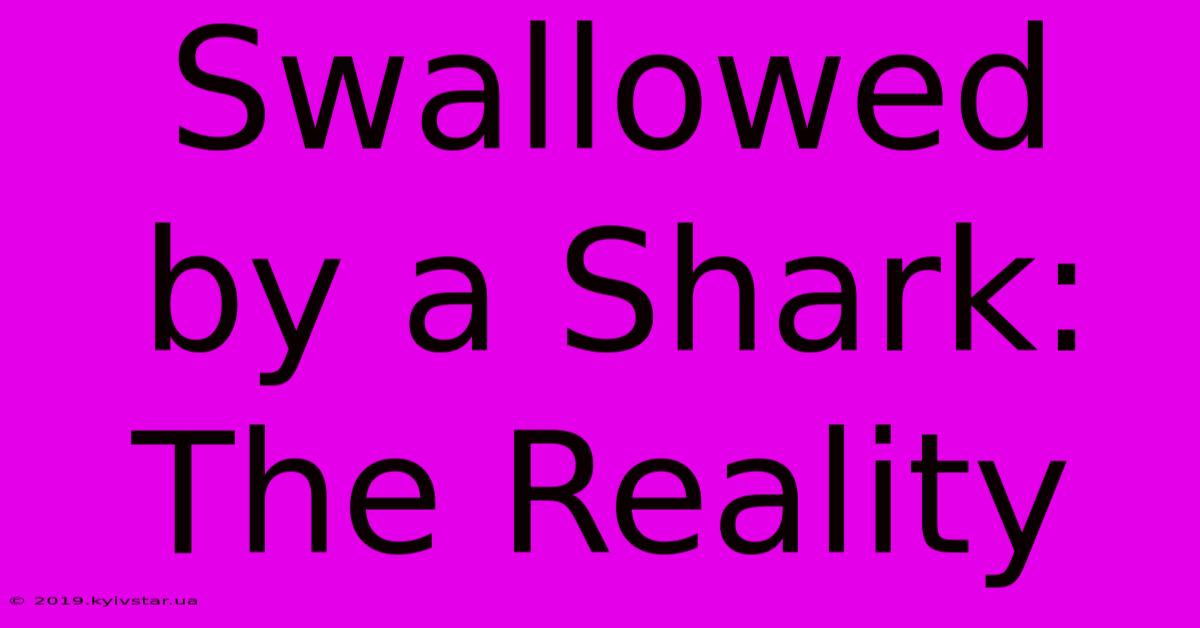 Swallowed By A Shark: The Reality