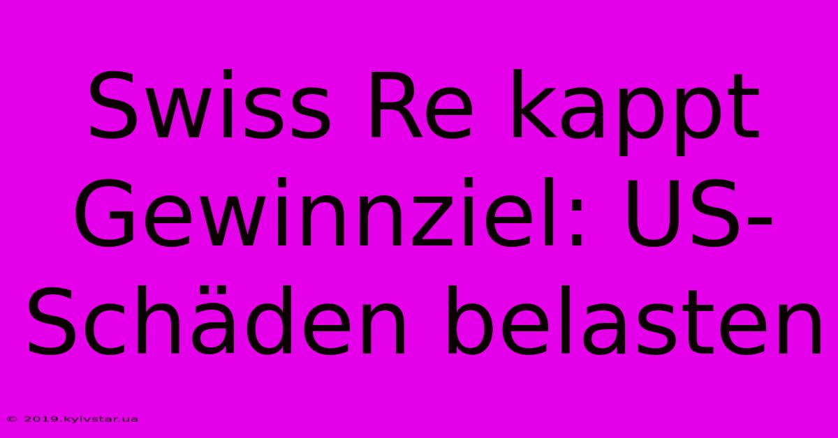 Swiss Re Kappt Gewinnziel: US-Schäden Belasten