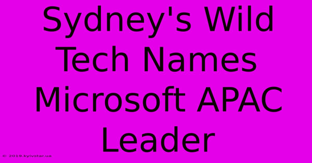 Sydney's Wild Tech Names Microsoft APAC Leader