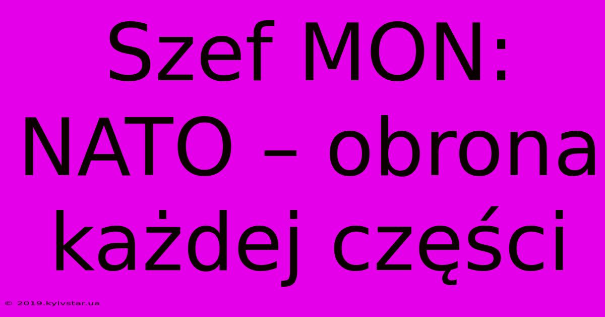 Szef MON: NATO – Obrona Każdej Części