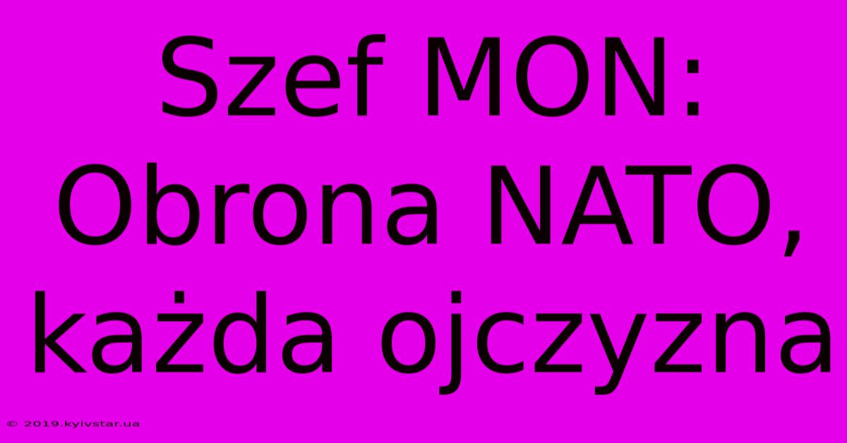 Szef MON: Obrona NATO, Każda Ojczyzna