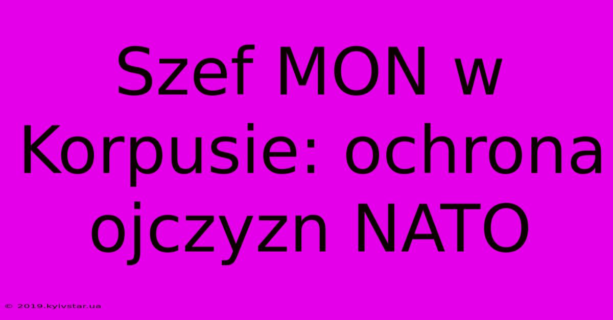 Szef MON W Korpusie: Ochrona Ojczyzn NATO