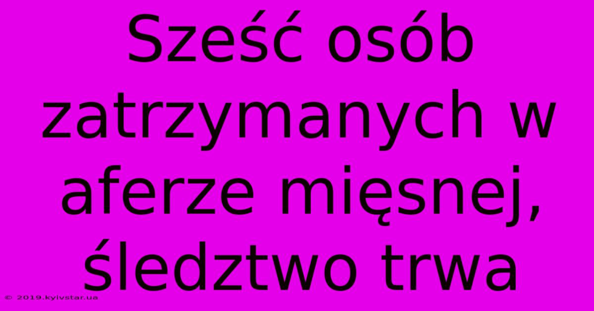 Sześć Osób Zatrzymanych W Aferze Mięsnej, Śledztwo Trwa