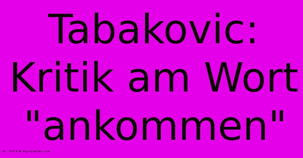 Tabakovic: Kritik Am Wort 