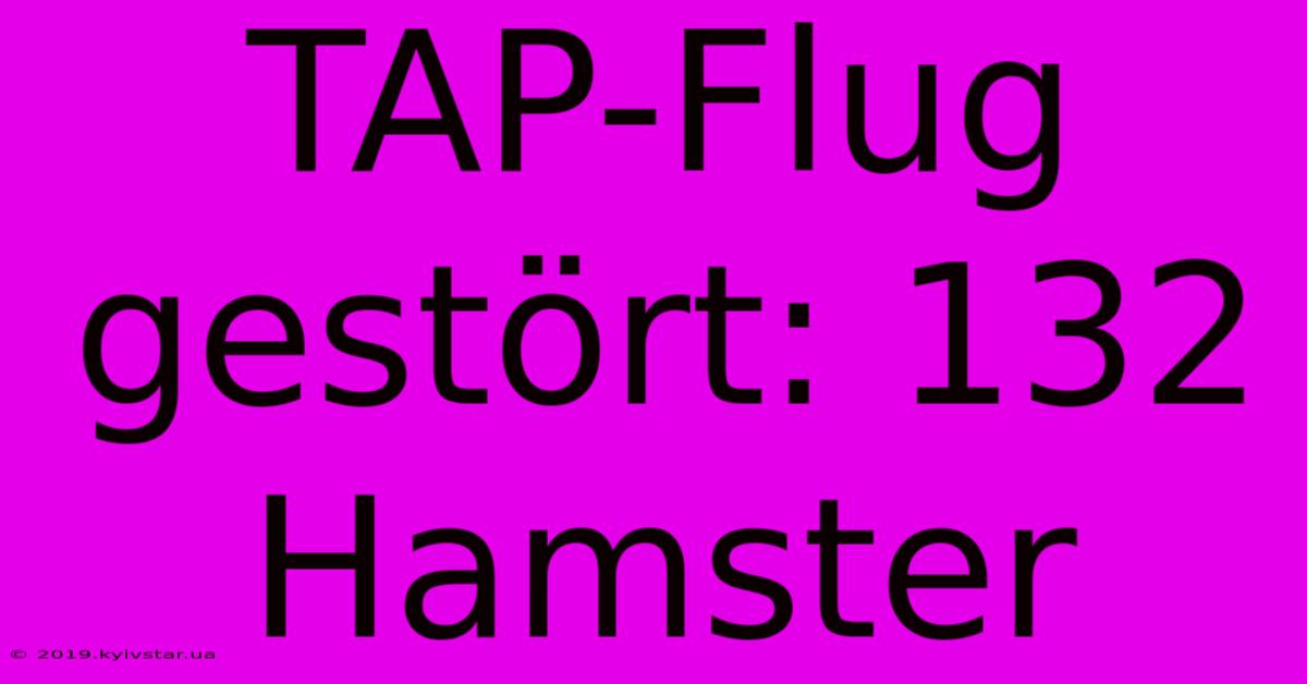 TAP-Flug Gestört: 132 Hamster