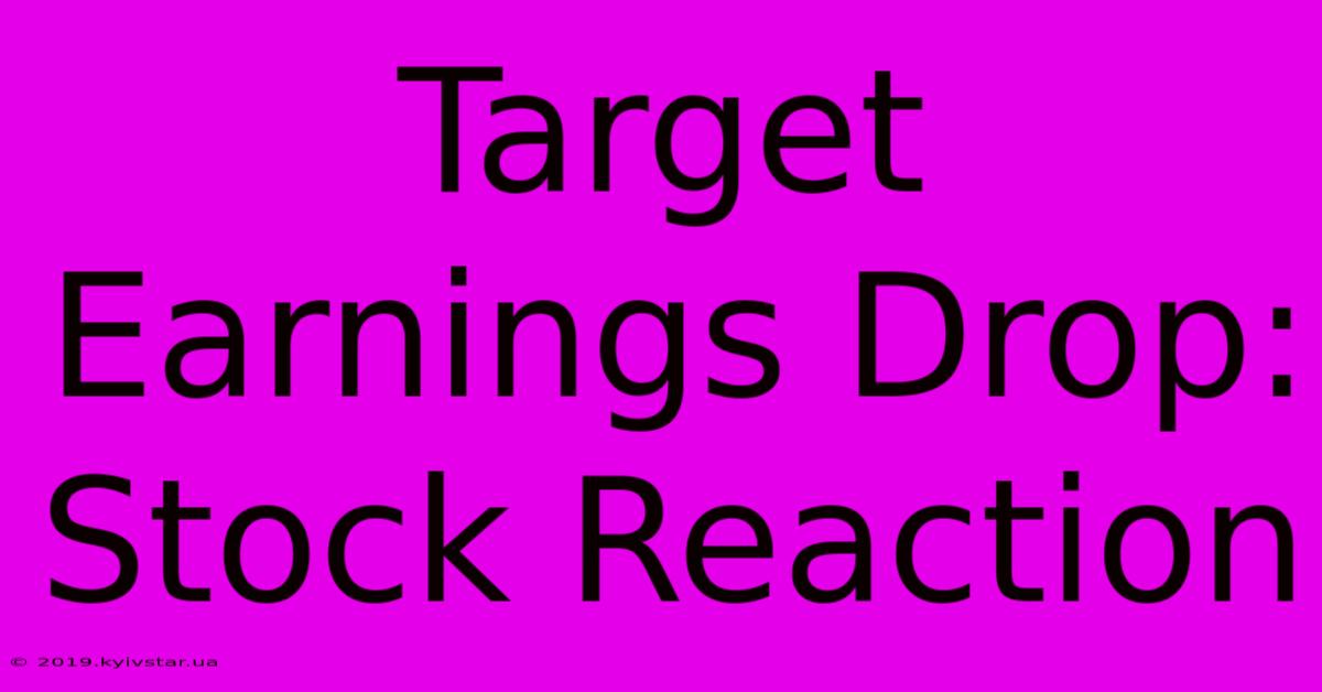 Target Earnings Drop: Stock Reaction