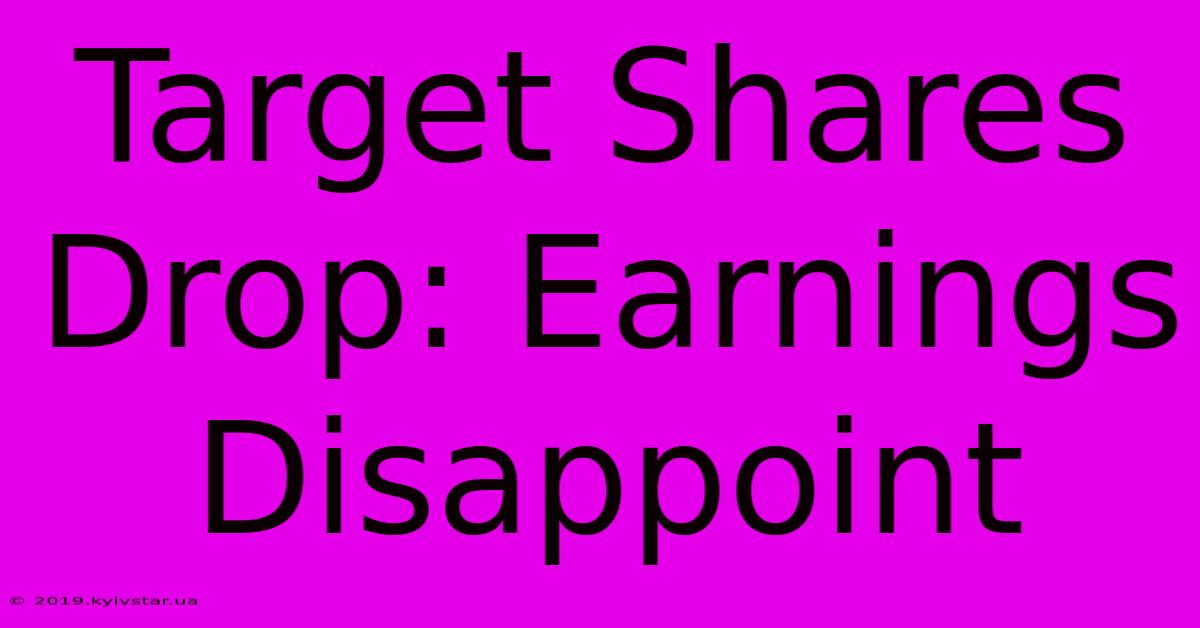 Target Shares Drop: Earnings Disappoint