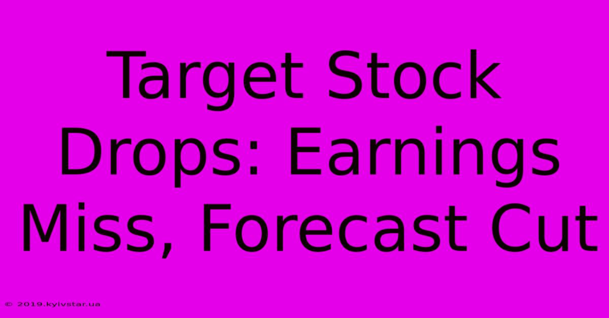 Target Stock Drops: Earnings Miss, Forecast Cut