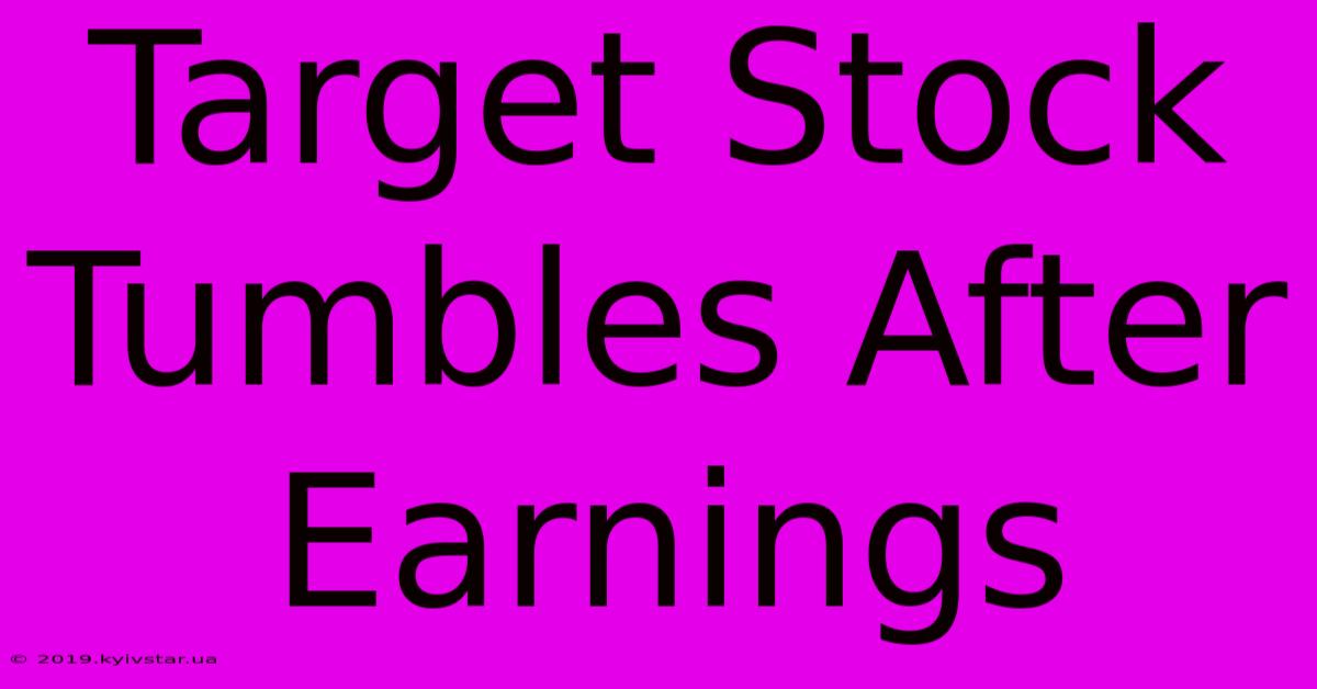 Target Stock Tumbles After Earnings