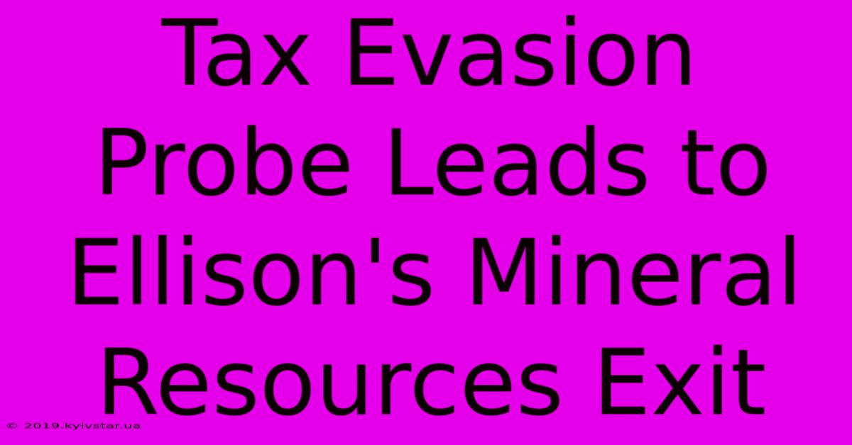 Tax Evasion Probe Leads To Ellison's Mineral Resources Exit