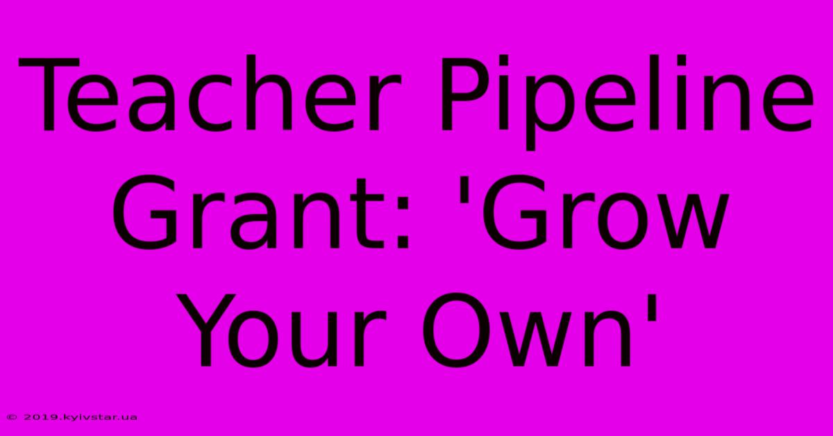 Teacher Pipeline Grant: 'Grow Your Own'