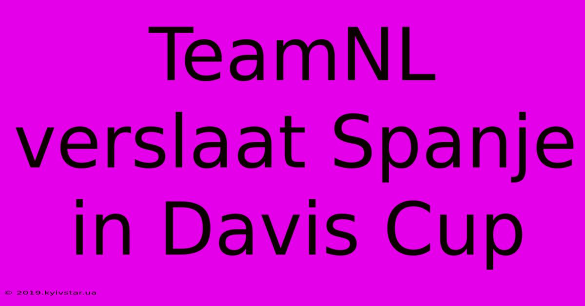 TeamNL Verslaat Spanje In Davis Cup