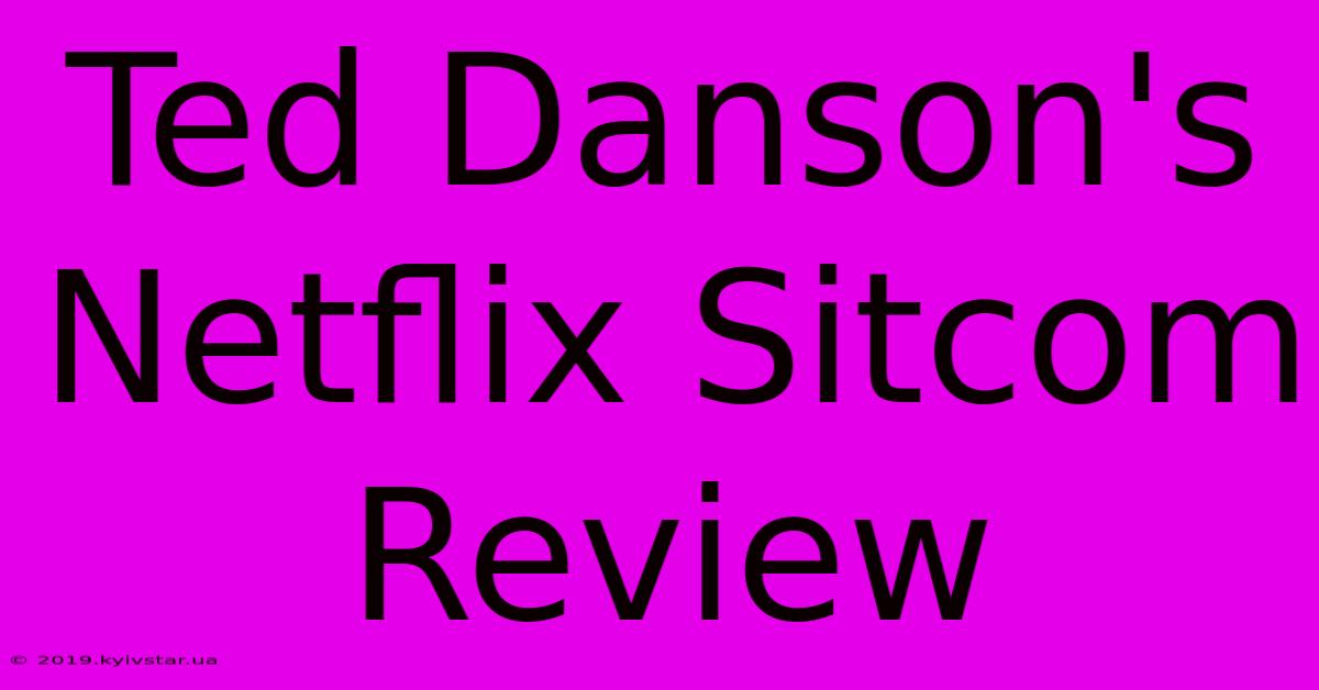 Ted Danson's Netflix Sitcom Review