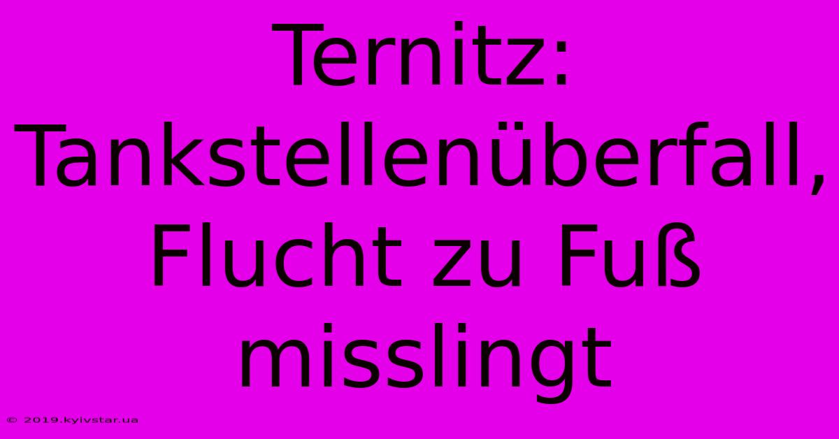 Ternitz: Tankstellenüberfall, Flucht Zu Fuß Misslingt