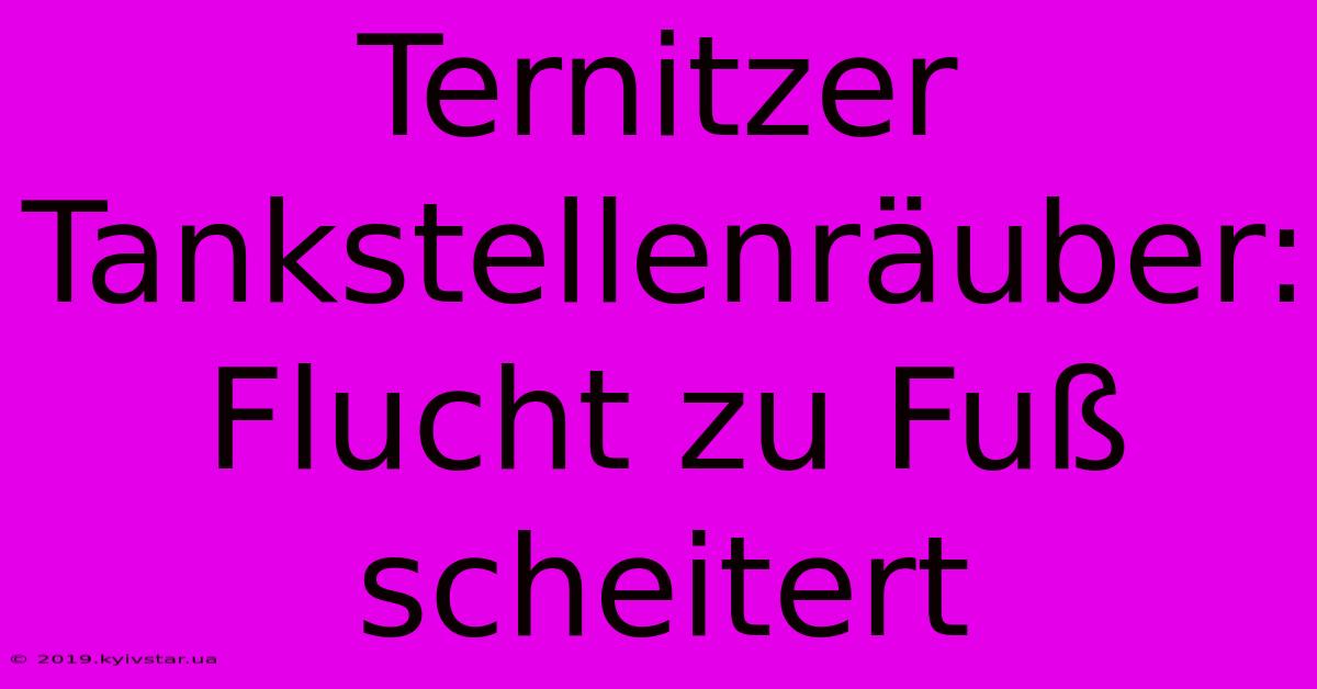 Ternitzer Tankstellenräuber: Flucht Zu Fuß Scheitert