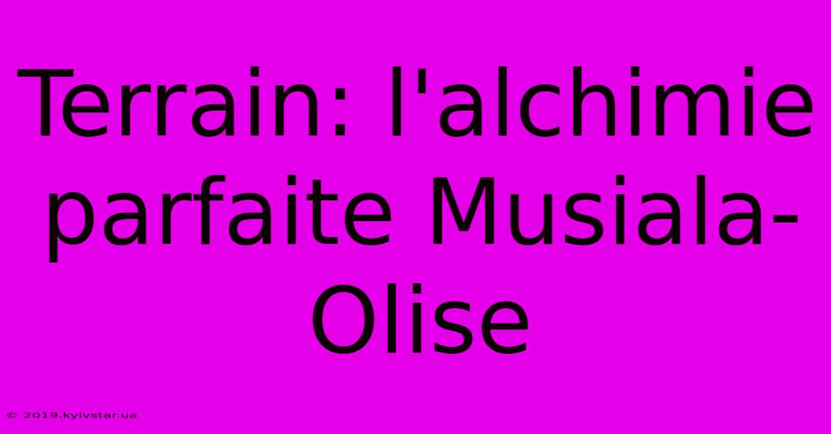 Terrain: L'alchimie Parfaite Musiala-Olise