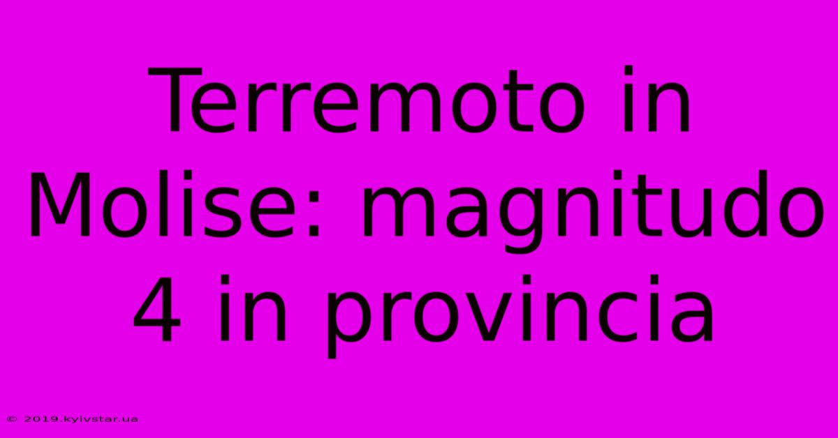 Terremoto In Molise: Magnitudo 4 In Provincia