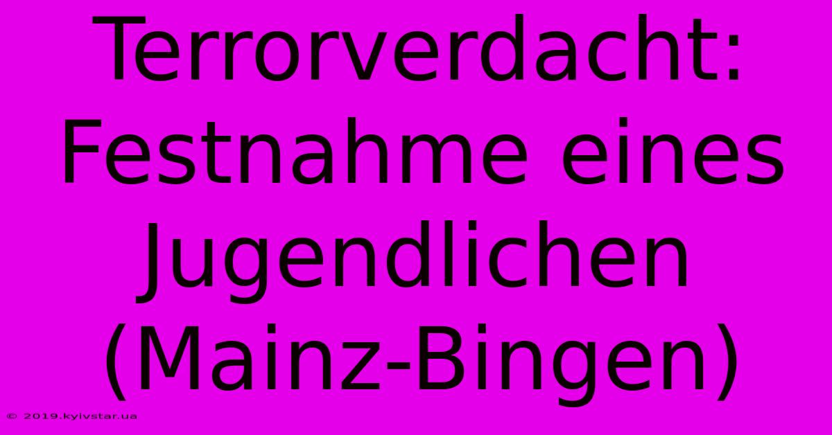 Terrorverdacht: Festnahme Eines Jugendlichen (Mainz-Bingen)