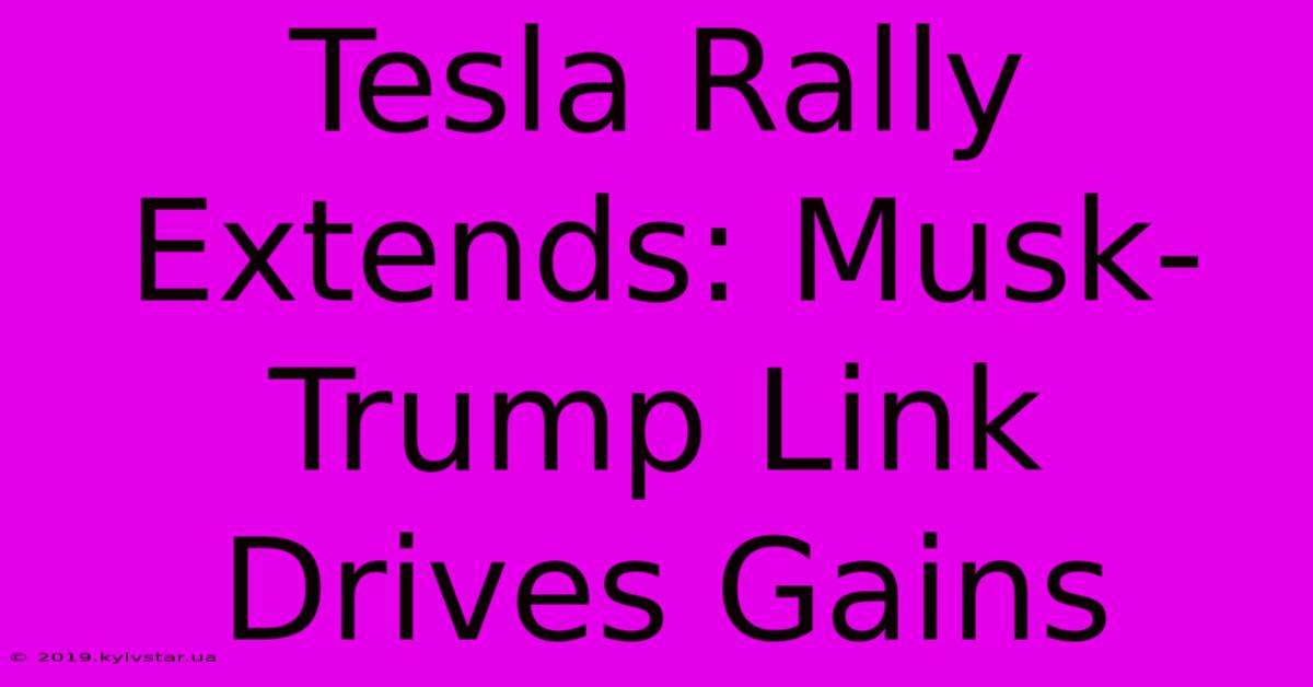 Tesla Rally Extends: Musk-Trump Link Drives Gains