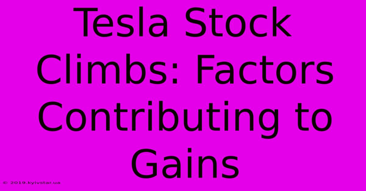 Tesla Stock Climbs: Factors Contributing To Gains