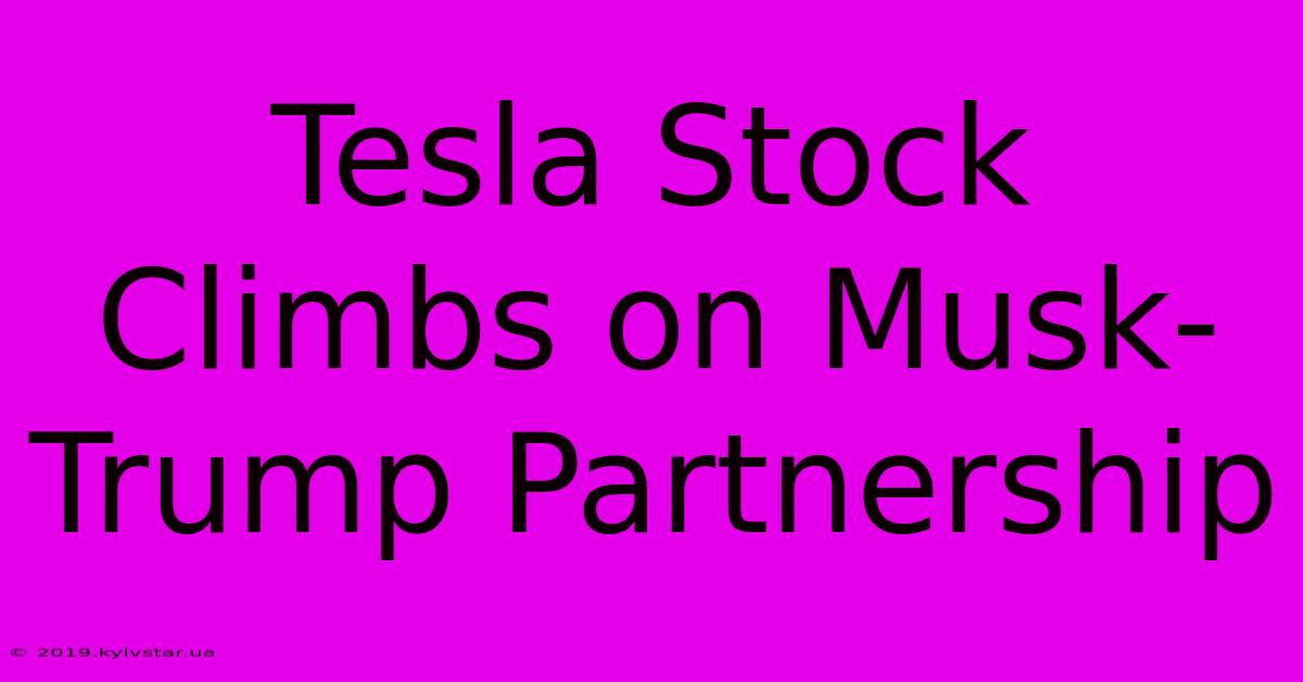 Tesla Stock Climbs On Musk-Trump Partnership 