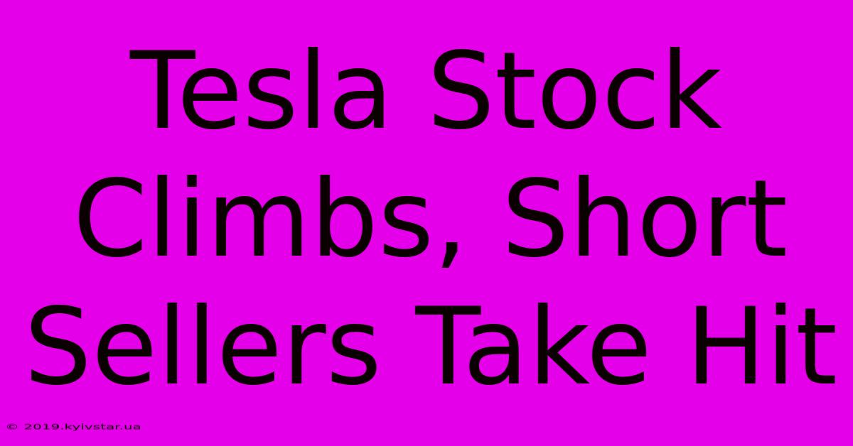 Tesla Stock Climbs, Short Sellers Take Hit