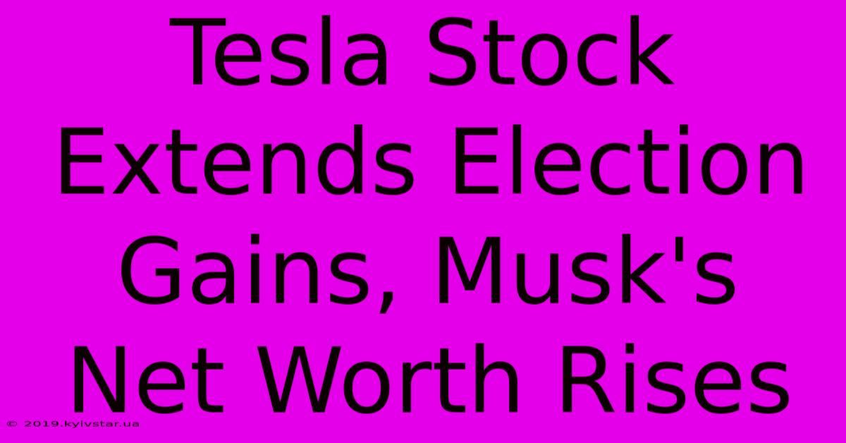 Tesla Stock Extends Election Gains, Musk's Net Worth Rises 