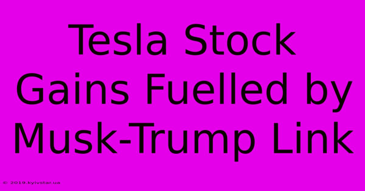 Tesla Stock Gains Fuelled By Musk-Trump Link