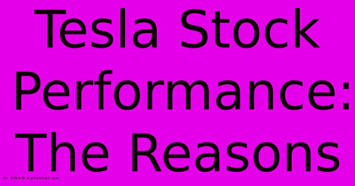 Tesla Stock Performance: The Reasons 