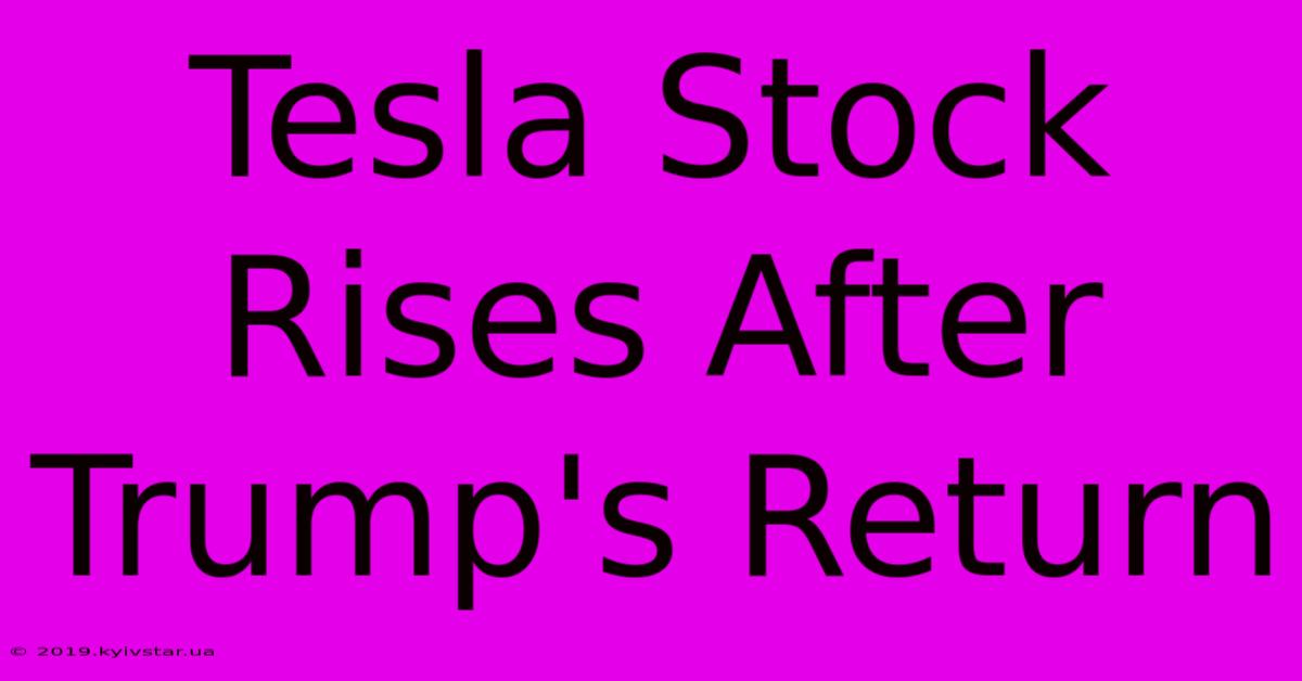 Tesla Stock Rises After Trump's Return