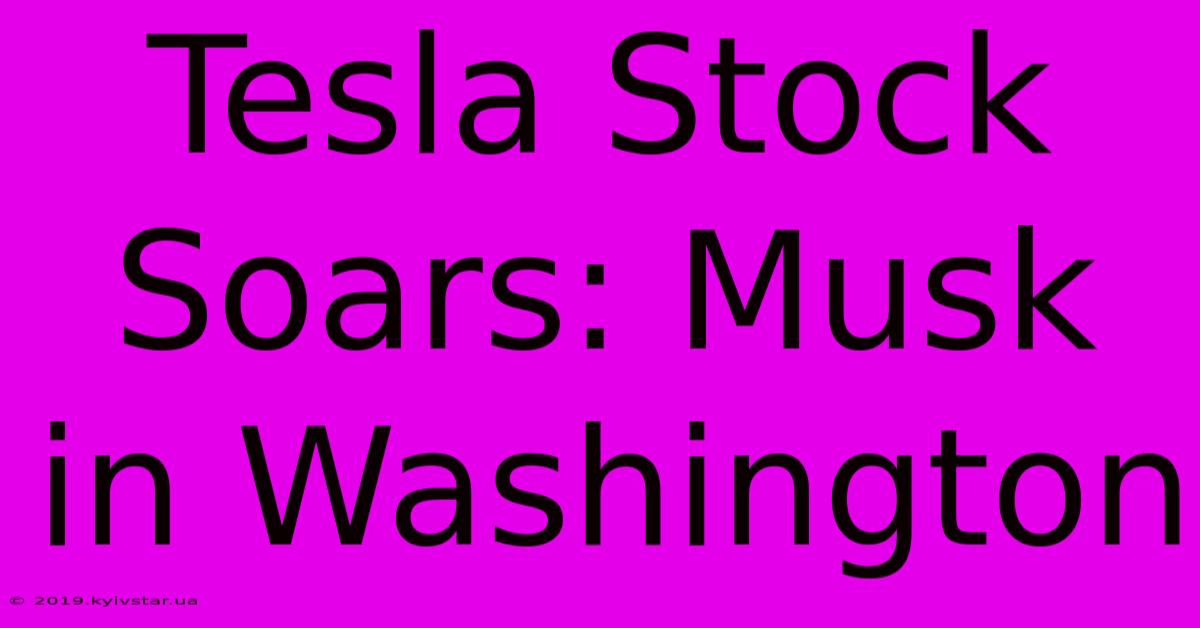 Tesla Stock Soars: Musk In Washington