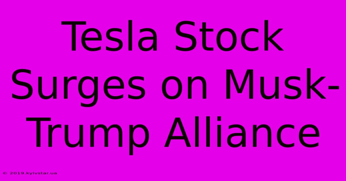 Tesla Stock Surges On Musk-Trump Alliance