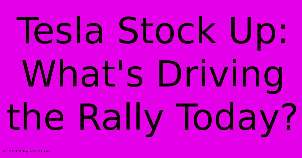 Tesla Stock Up: What's Driving The Rally Today?