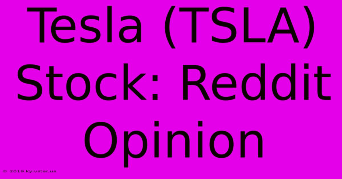 Tesla (TSLA) Stock: Reddit Opinion