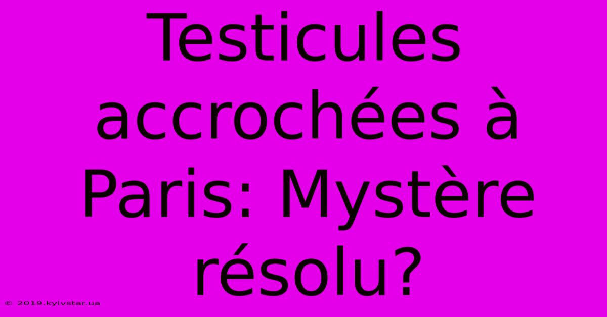 Testicules Accrochées À Paris: Mystère Résolu?